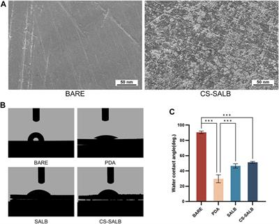 Chitosan-salvianolic acid B coating on the surface of nickel-titanium alloy inhibits proliferation of smooth muscle cells and promote endothelialization